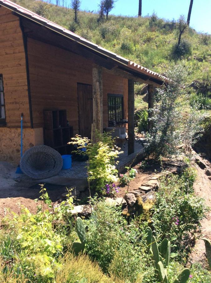 Unique Tiny House With Natural Building Techniques Figueiro Dos Vinhos Exterior foto