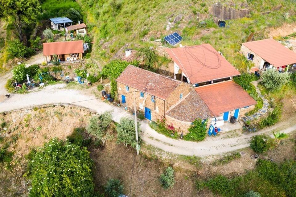 Unique Tiny House With Natural Building Techniques Figueiro Dos Vinhos Exterior foto