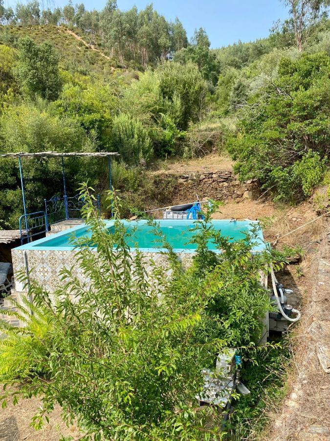 Unique Tiny House With Natural Building Techniques Figueiro Dos Vinhos Exterior foto