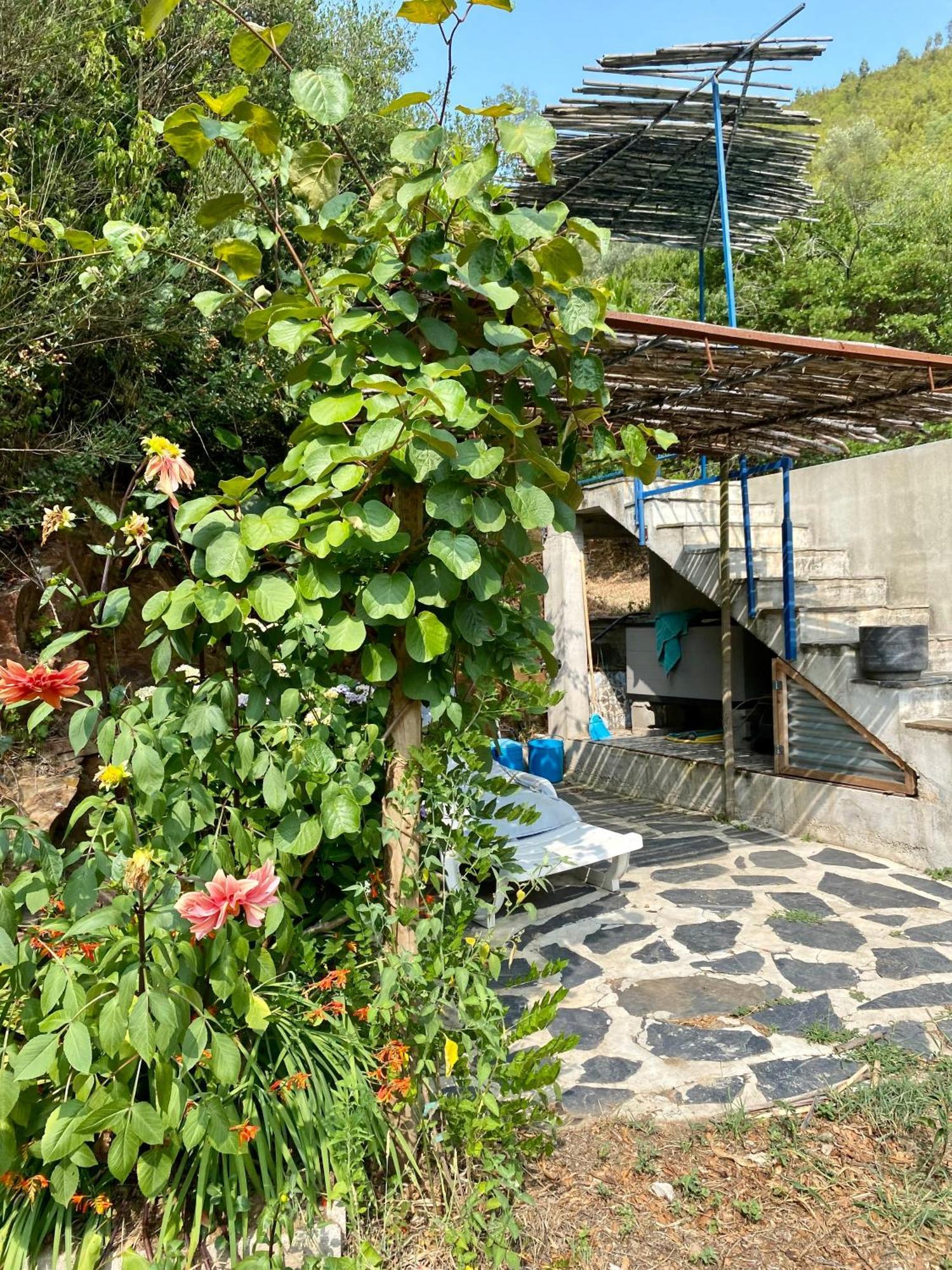 Unique Tiny House With Natural Building Techniques Figueiro Dos Vinhos Exterior foto