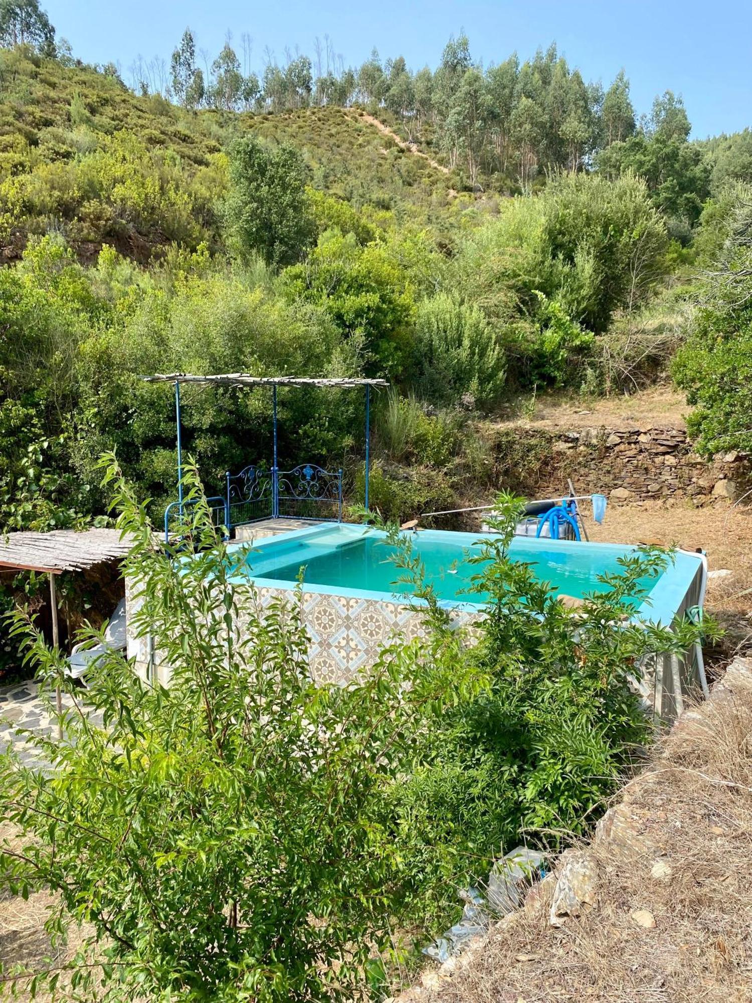 Unique Tiny House With Natural Building Techniques Figueiro Dos Vinhos Exterior foto